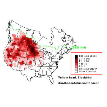 Yellow-headed Blackbird distribution map