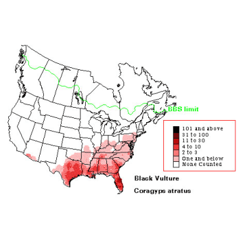American Black Vulture distribution map