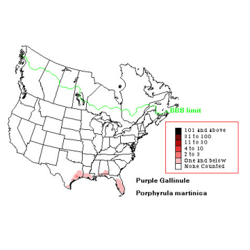 American Purple Gallinule distribution map