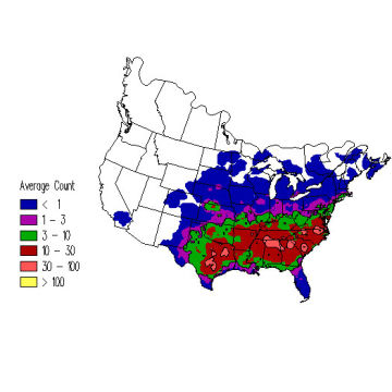 Field Sparrow winter distribution map