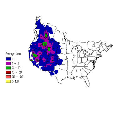 Clark's Nutcracker winter distribution map