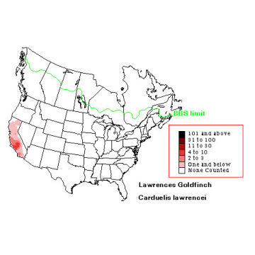 Lawrence's Goldfinch distribution map