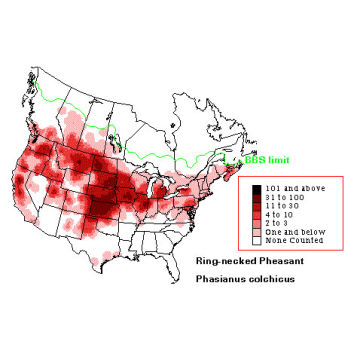 Ring-necked Pheasant distribution map