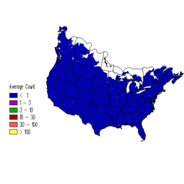 Sharp-shinned Hawk winter distribution map