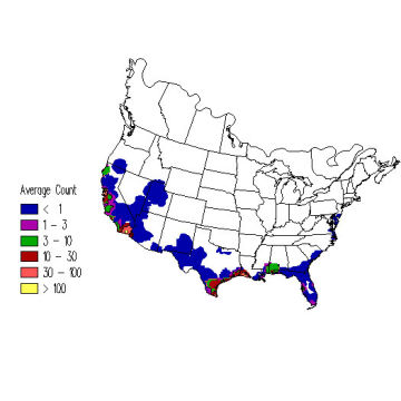 American Avocet winter distribution map