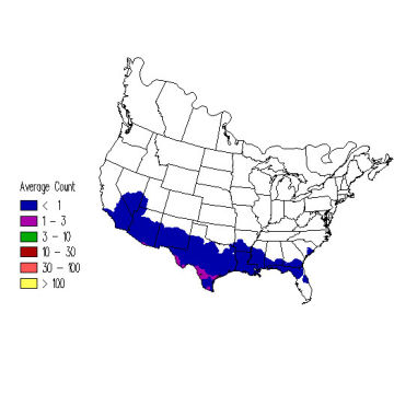 Vermilion Flycatcher winter distribution map