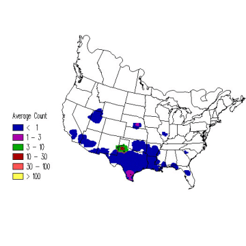 Sprague's Pipit winter distribution map