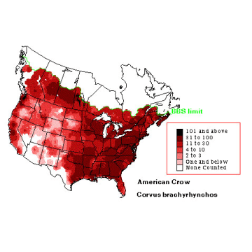 American Crow distribution map