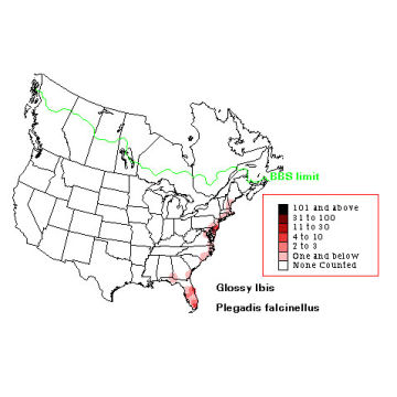 Glossy Ibis distribution map