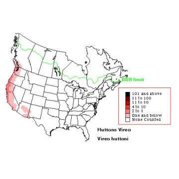 Hutton's Vireo distribution map