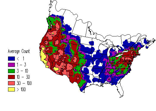 House Finch - eBirdr