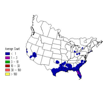 Yellow-throated Warbler winter distribution map