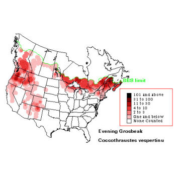 Evening Grosbeak distribution map