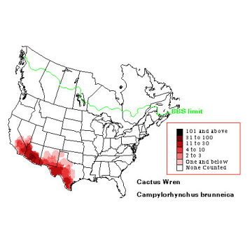 Cactus Wren distribution map