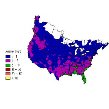 Belted Kingfisher winter distribution map