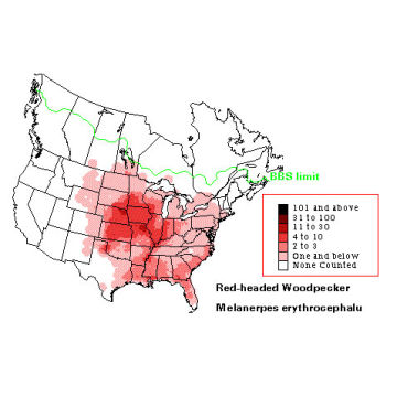 Red-headed Woodpecker distribution map