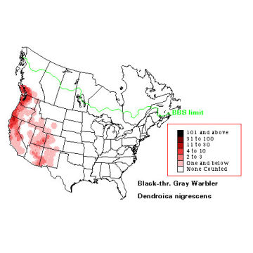 Black-throated Gray Warbler distribution map