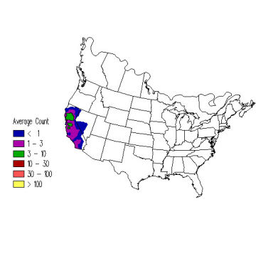 Nuttall's Woodpecker winter distribution map