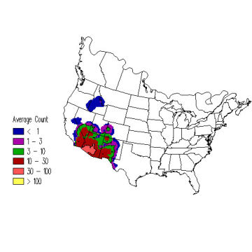 Gambel's Quail winter distribution map