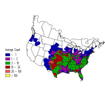 Northern Bobwhite winter distribution map