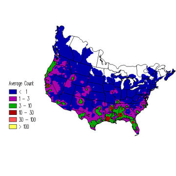 Wilson's Snipe winter distribution map