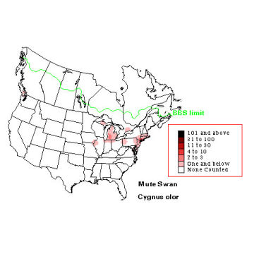 Mute Swan distribution map