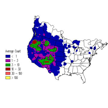 Townsend's Solitaire winter distribution map