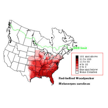 Red-bellied Woodpecker distribution map