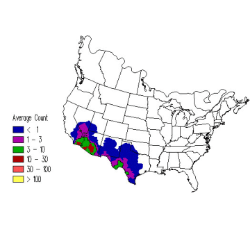 Verdin winter distribution map
