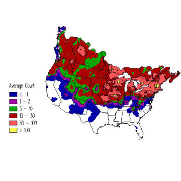 Black-capped Chickadee winter distribution map