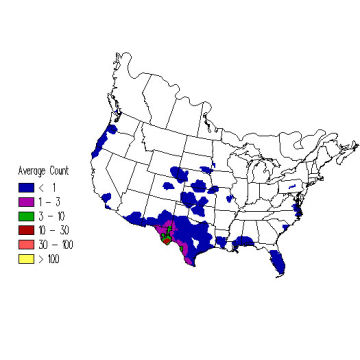 Clay-colored Sparrow winter distribution map