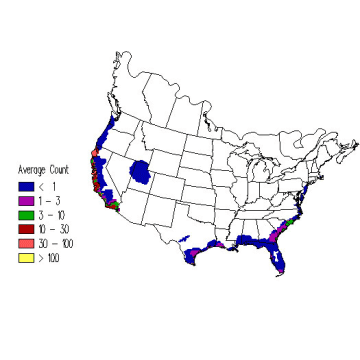 Marbled Godwit winter distribution map