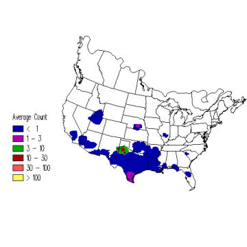 Sprague's Pipit winter distribution map