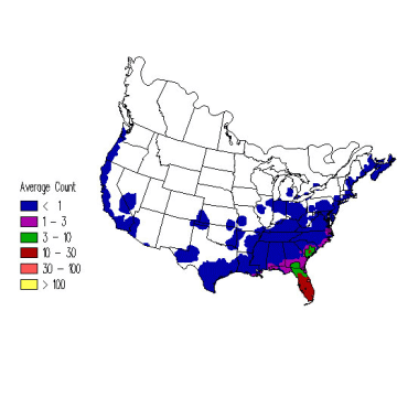 Palm Warbler winter distribution map