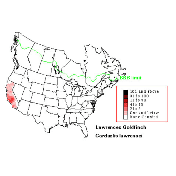 Lawrence's Goldfinch distribution map