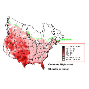 Common Nighthawk distribution map