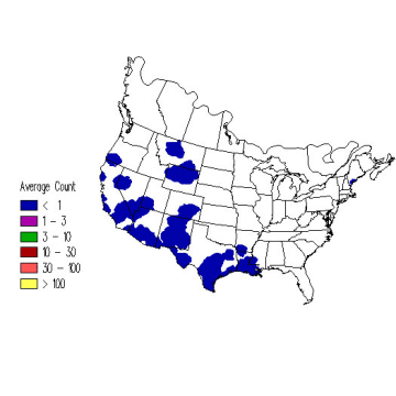 Black-headed Grosbeak winter distribution map