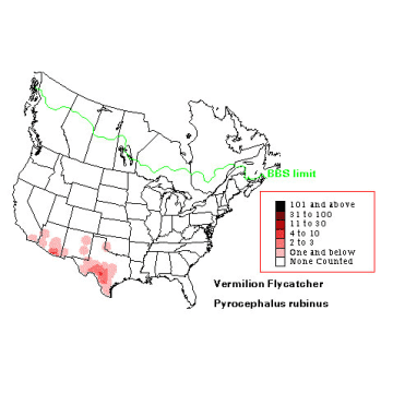 Vermilion Flycatcher distribution map
