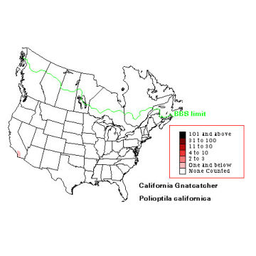 California Gnatcatcher distribution map