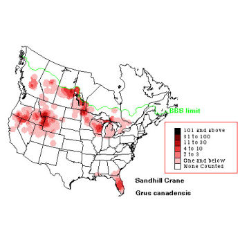 Sandhill Crane distribution map