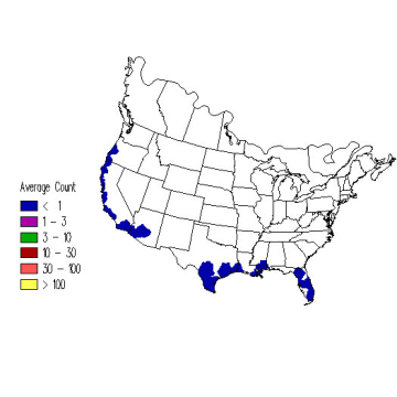 Tennessee Warbler winter distribution map