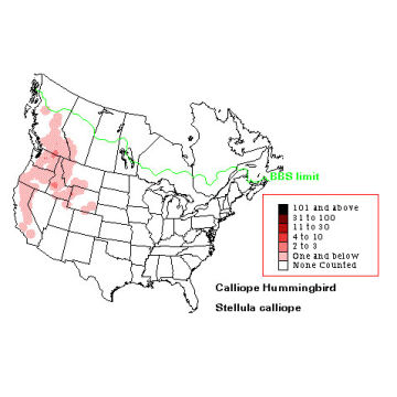 Calliope Hummingbird distribution map