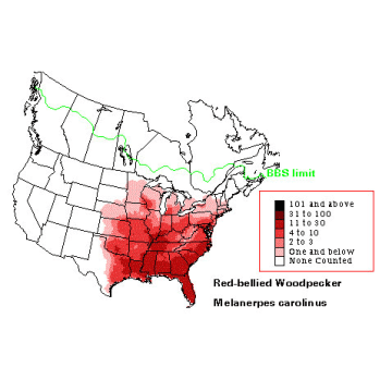 Red-bellied Woodpecker distribution map