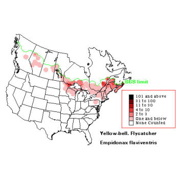 Yellow-bellied Flycatcher distribution map