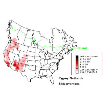 Pygmy Nuthatch distribution map