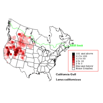 California Gull distribution map