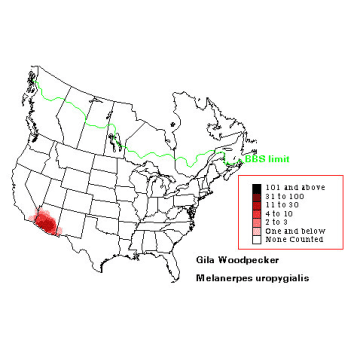 Gila Woodpecker distribution map