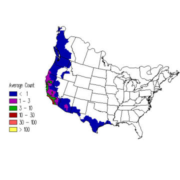 Anna's Hummingbird winter distribution map