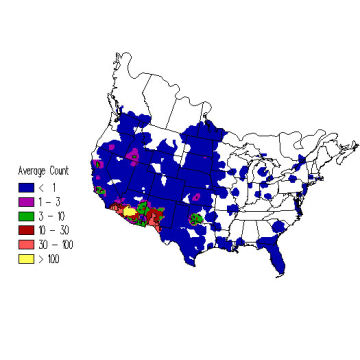 Yellow-headed Blackbird winter distribution map