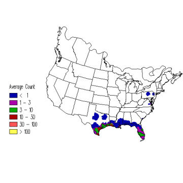 Mottled Duck winter distribution map